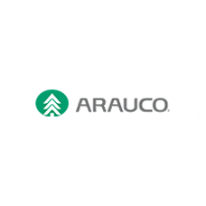 Arauco